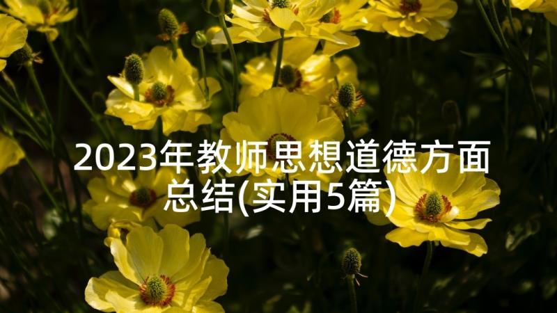 2023年教师思想道德方面总结(实用5篇)