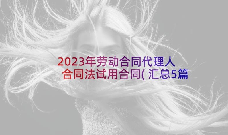 2023年劳动合同代理人 合同法试用合同(汇总5篇)