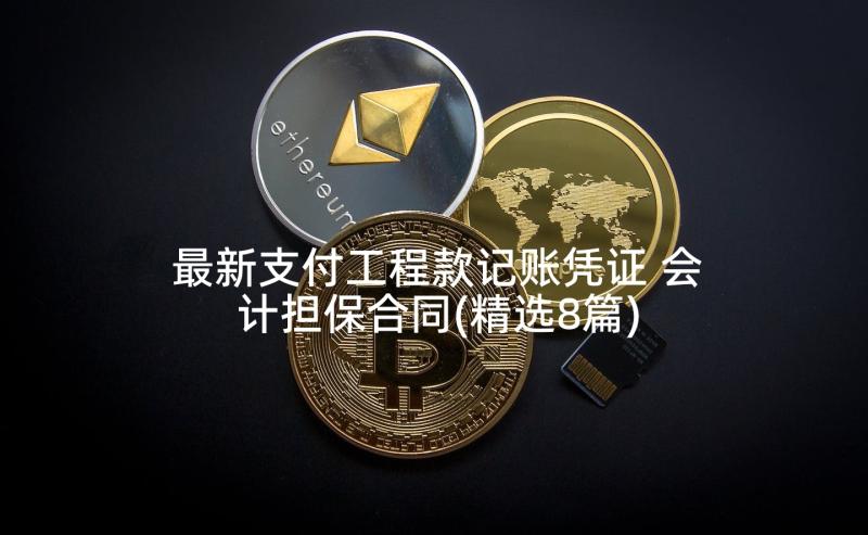 最新支付工程款记账凭证 会计担保合同(精选8篇)