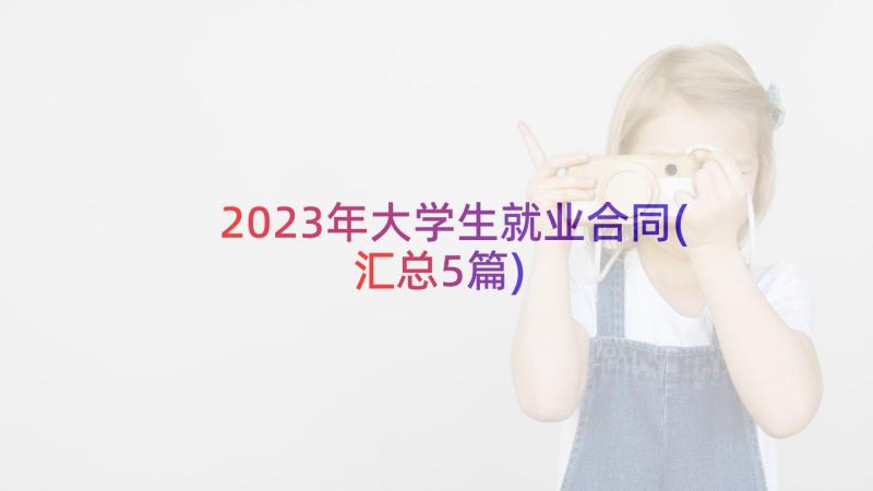 2023年大学生就业合同(汇总5篇)