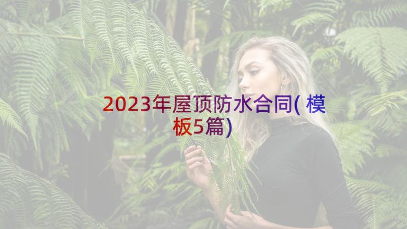 2023年屋顶防水合同(模板5篇)