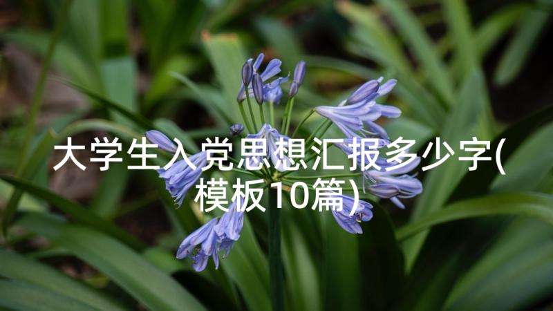 大学生入党思想汇报多少字(模板10篇)