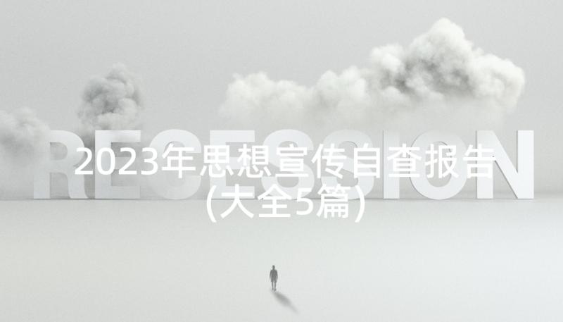 2023年思想宣传自查报告(大全5篇)