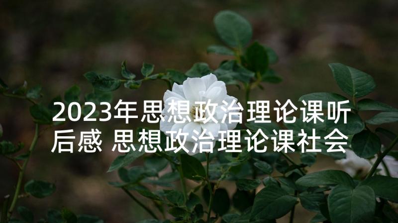 2023年思想政治理论课听后感 思想政治理论课社会的实践报告(优秀6篇)