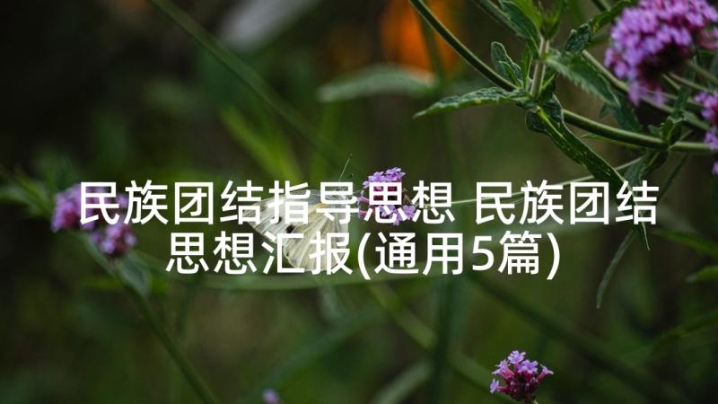 民族团结指导思想 民族团结思想汇报(通用5篇)