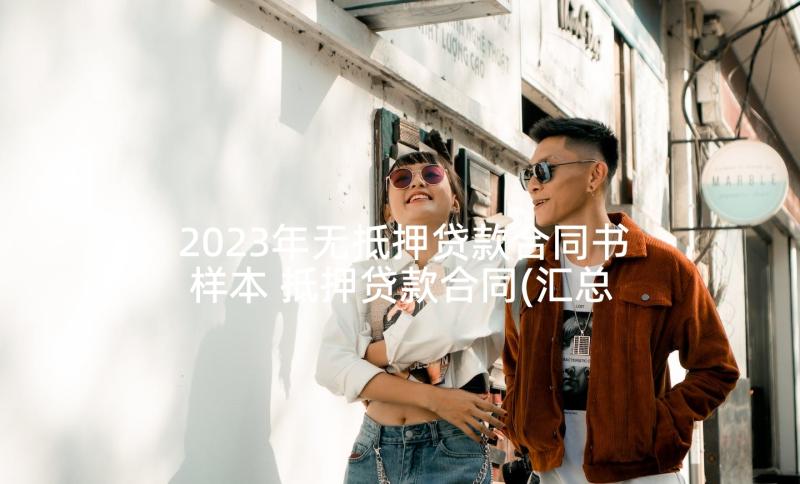 2023年无抵押贷款合同书样本 抵押贷款合同(汇总9篇)