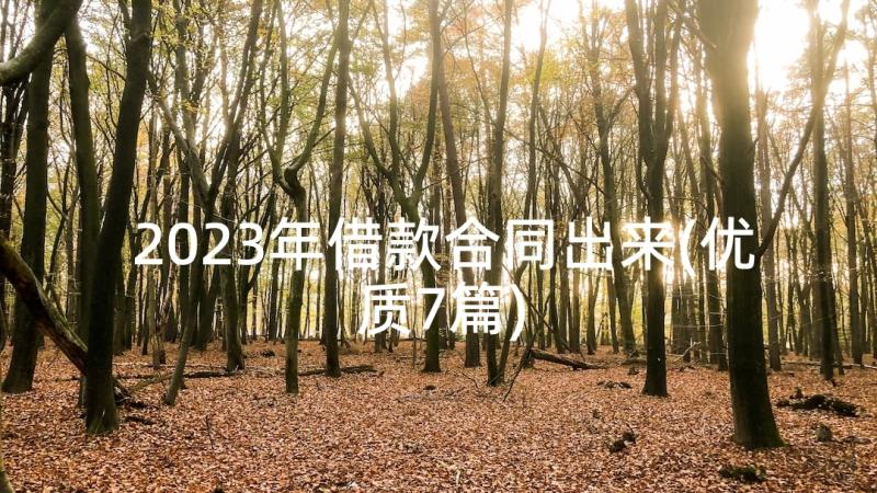 2023年借款合同出来(优质7篇)