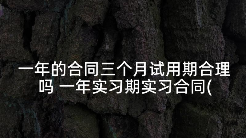 一年的合同三个月试用期合理吗 一年实习期实习合同(汇总9篇)