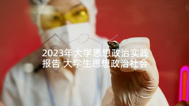 2023年大学思想政治实践报告 大学生思想政治社会实践活动心得体会(实用5篇)