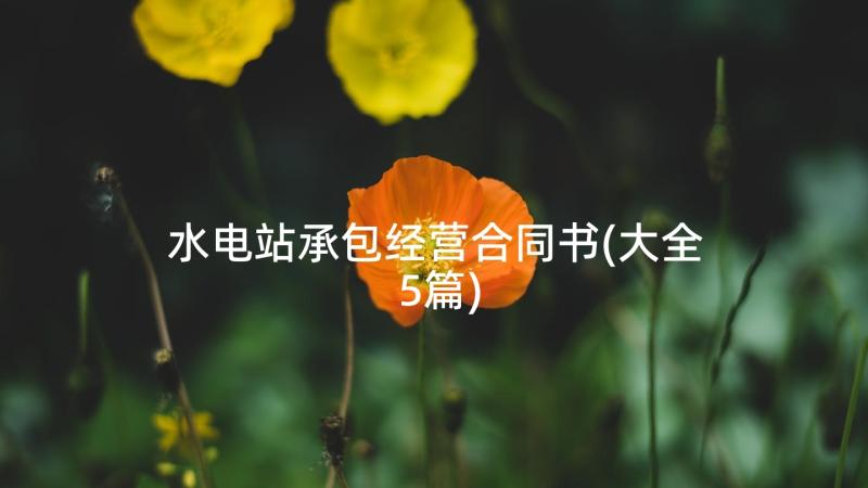 水电站承包经营合同书(大全5篇)