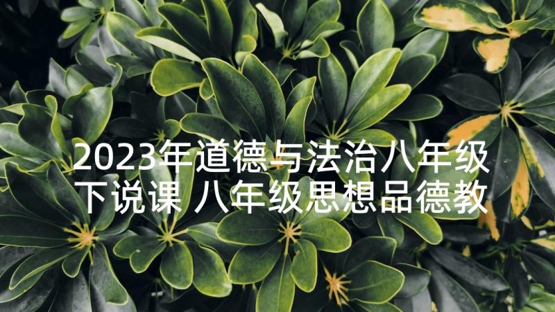 2023年道德与法治八年级下说课 八年级思想品德教案(精选6篇)