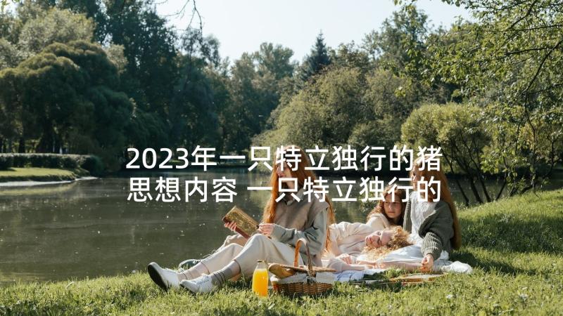 2023年一只特立独行的猪思想内容 一只特立独行的猪读后感(精选5篇)