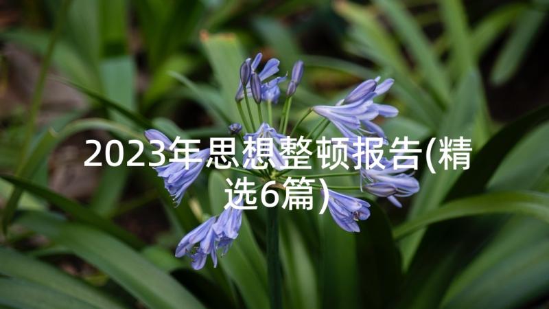 2023年思想整顿报告(精选6篇)