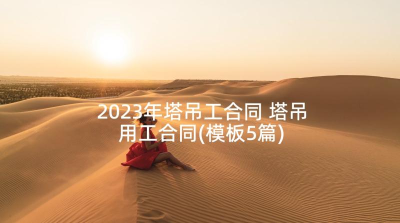 2023年塔吊工合同 塔吊用工合同(模板5篇)