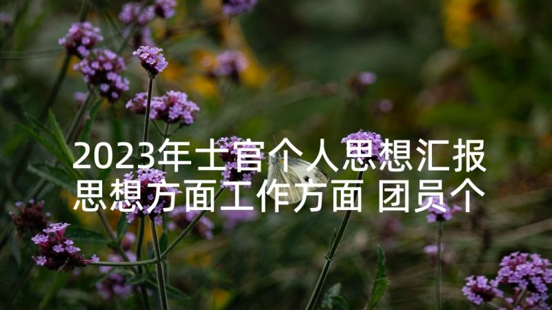 2023年士官个人思想汇报思想方面工作方面 团员个人思想汇报(汇总6篇)