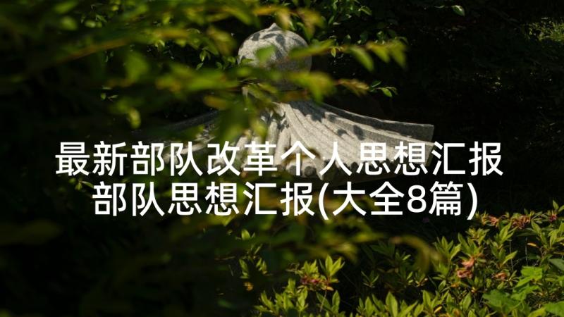 最新部队改革个人思想汇报 部队思想汇报(大全8篇)