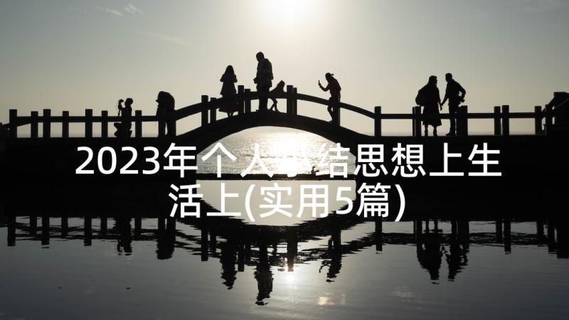 2023年个人小结思想上生活上(实用5篇)