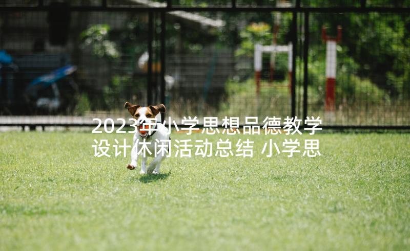 2023年小学思想品德教学设计休闲活动总结 小学思想品德教学设计集锦(模板5篇)