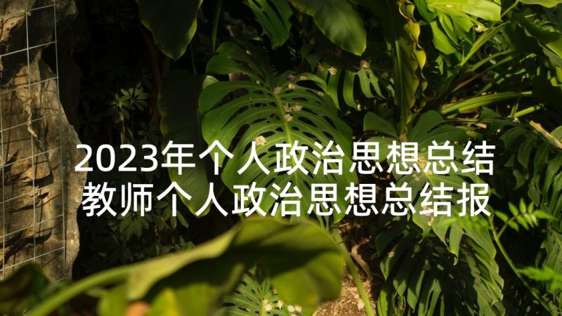 2023年个人政治思想总结 教师个人政治思想总结报告(通用5篇)