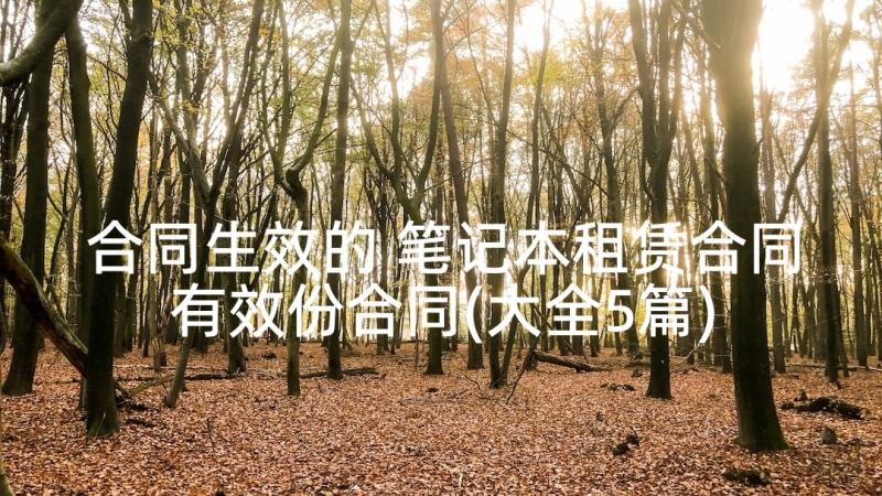 合同生效的 笔记本租赁合同有效份合同(大全5篇)