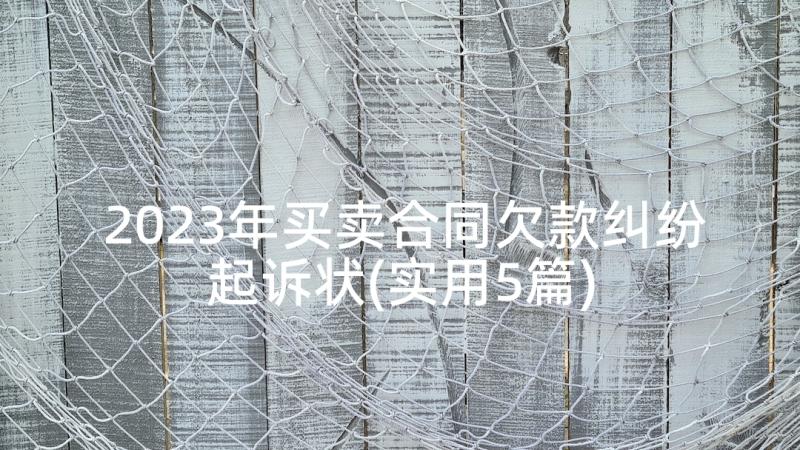 2023年买卖合同欠款纠纷起诉状(实用5篇)