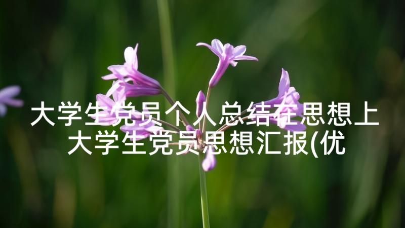 大学生党员个人总结在思想上 大学生党员思想汇报(优质10篇)