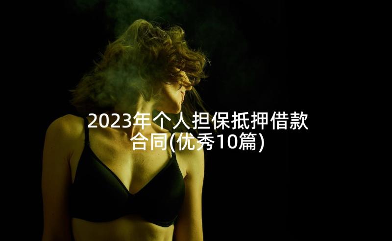 2023年个人担保抵押借款合同(优秀10篇)