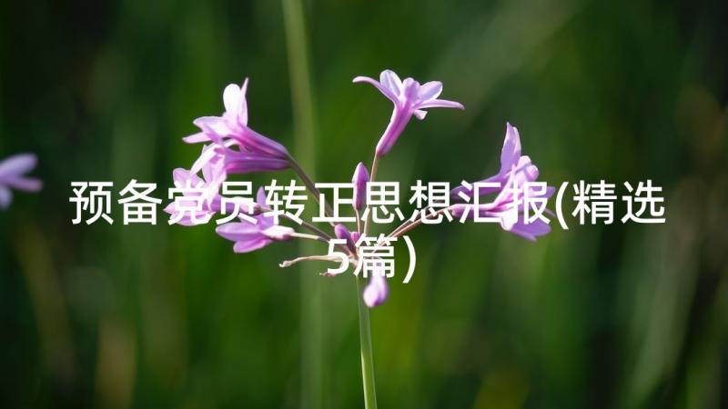 预备党员转正思想汇报(精选5篇)