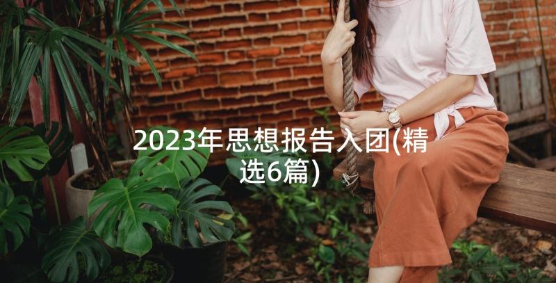 2023年思想报告入团(精选6篇)