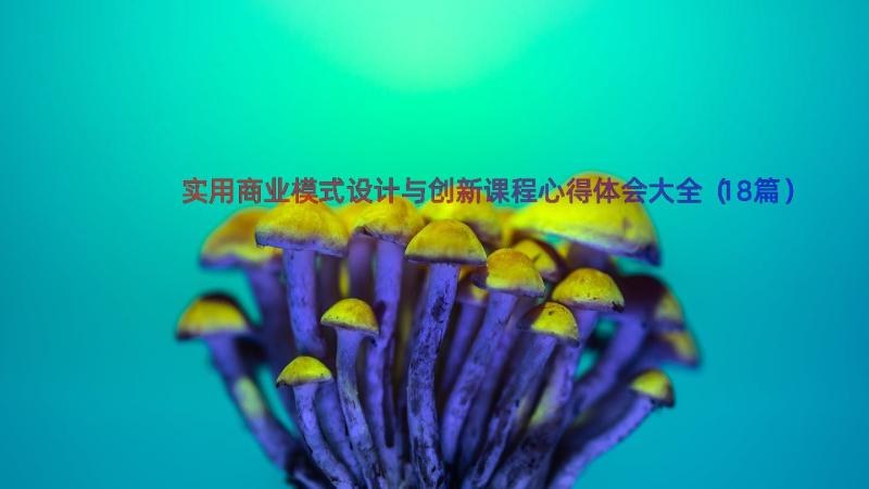 实用商业模式设计与创新课程心得体会大全（18篇）