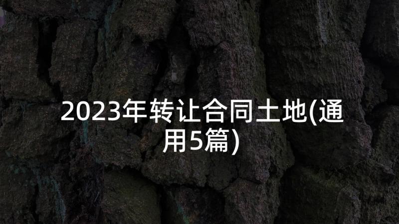 2023年转让合同土地(通用5篇)