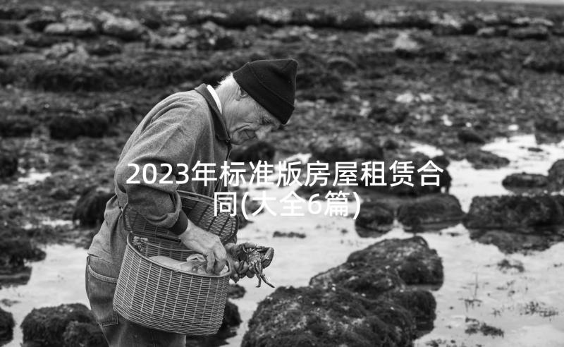 2023年标准版房屋租赁合同(大全6篇)