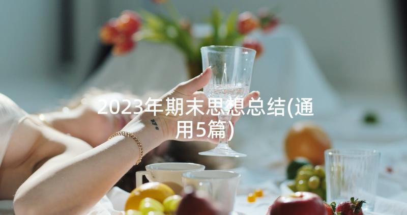 2023年期末思想总结(通用5篇)