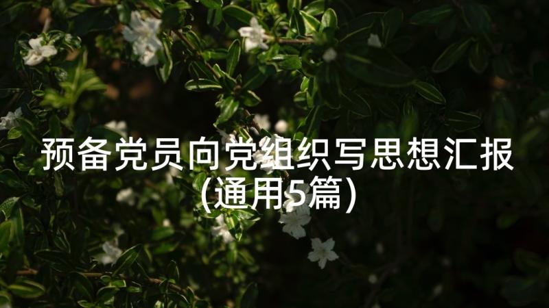 预备党员向党组织写思想汇报(通用5篇)