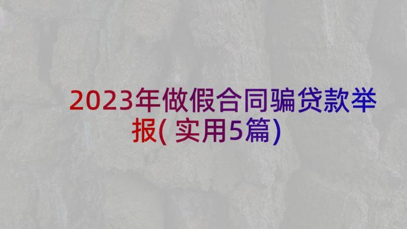 2023年做假合同骗贷款举报(实用5篇)