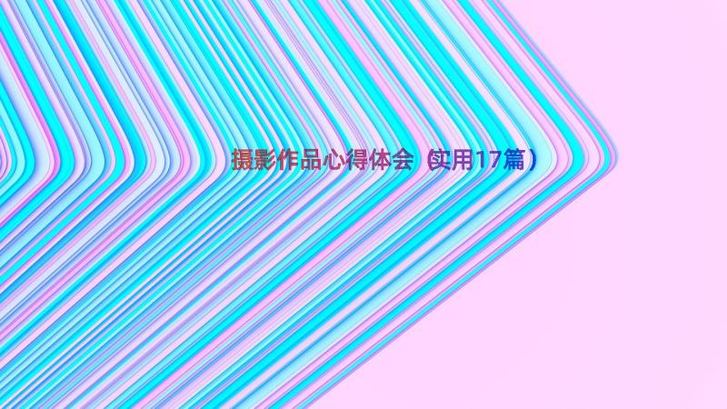 摄影作品心得体会（实用17篇）