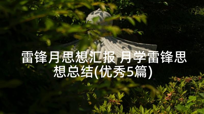 雷锋月思想汇报 月学雷锋思想总结(优秀5篇)