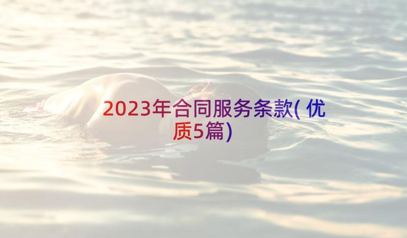 2023年合同服务条款(优质5篇)