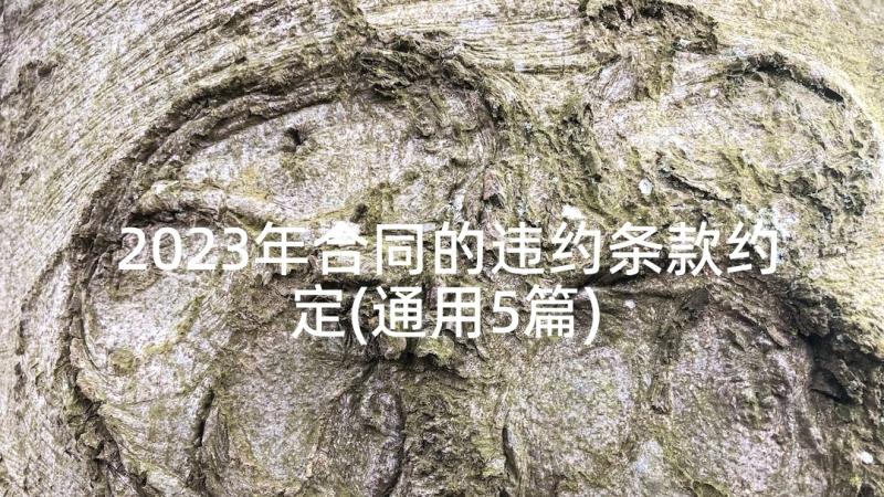 2023年合同的违约条款约定(通用5篇)