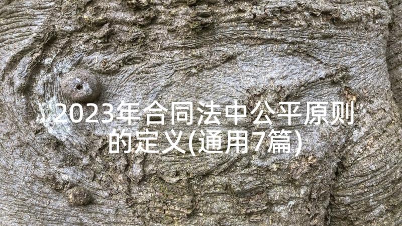 2023年合同法中公平原则的定义(通用7篇)