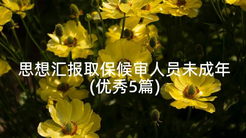 思想汇报取保候审人员未成年(优秀5篇)