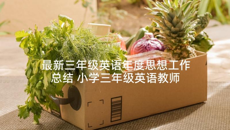 最新三年级英语年度思想工作总结 小学三年级英语教师年度工作总结(优秀5篇)