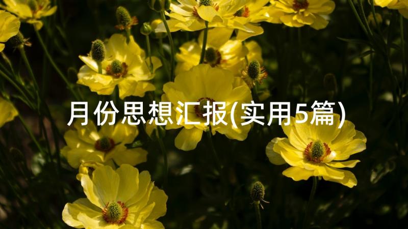 月份思想汇报(实用5篇)