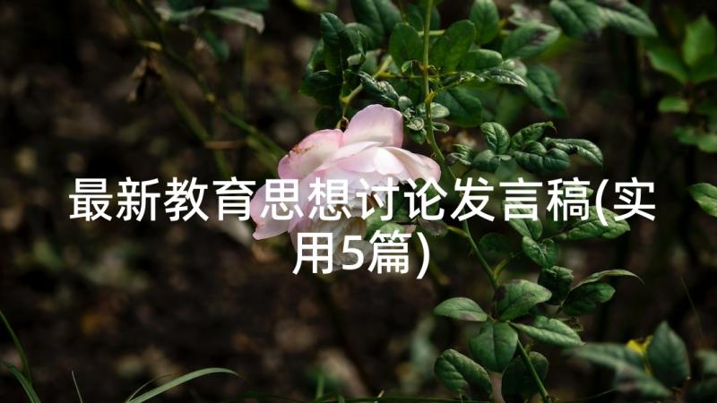 最新教育思想讨论发言稿(实用5篇)