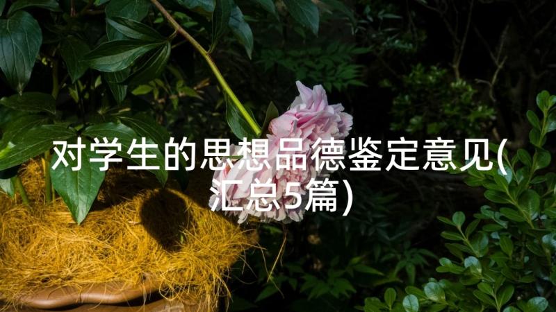 对学生的思想品德鉴定意见(汇总5篇)