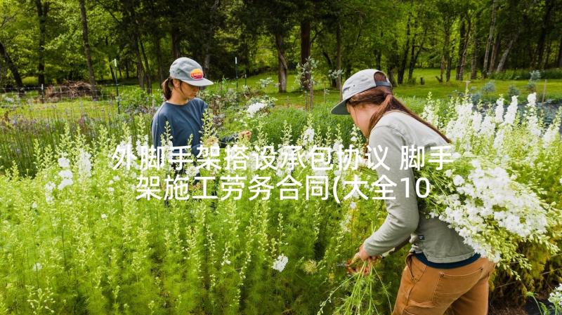 外脚手架搭设承包协议 脚手架施工劳务合同(大全10篇)