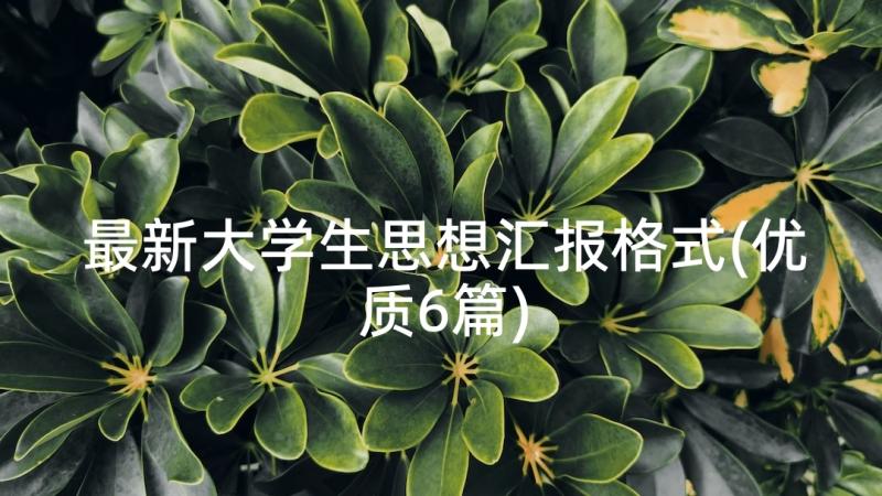 最新大学生思想汇报格式(优质6篇)