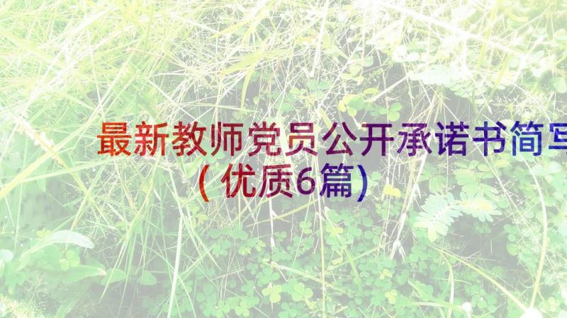 最新教师党员公开承诺书简写(优质6篇)