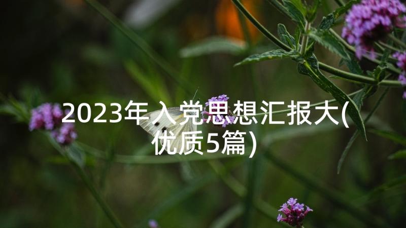 2023年入党思想汇报大(优质5篇)