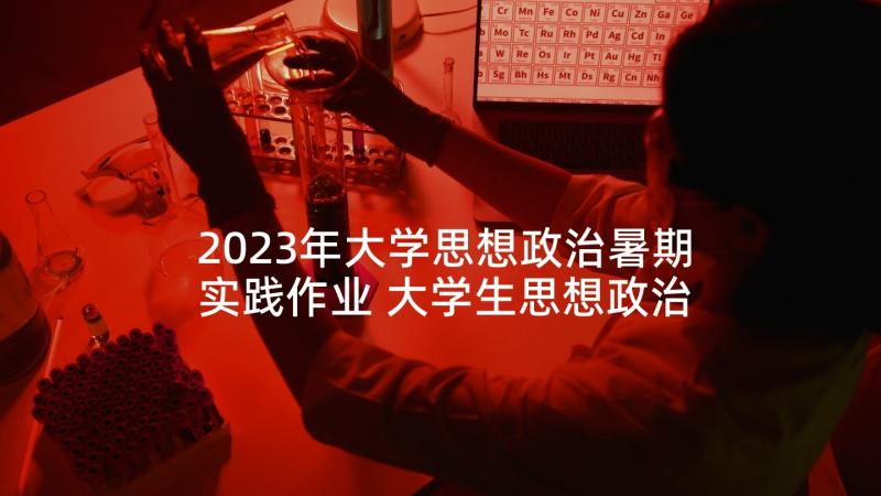 2023年大学思想政治暑期实践作业 大学生思想政治社会实践活动心得体会(通用5篇)